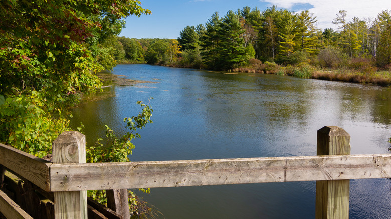 view of water and wooden bridge at Silver Lake Park