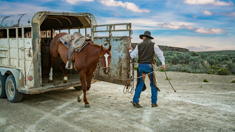 cowboy unloading his horse at the ranch near Silver Lake