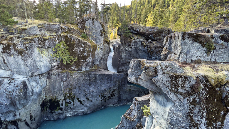 The Green River of Nairn Falls Provincial Park, Canada, surrounded by rocky mountains