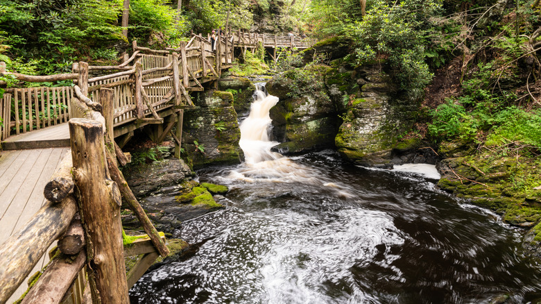 wooden bridge path alongside a waterfall