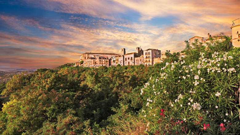 Aerial view of the old town of Vasto surrounded by greenery
