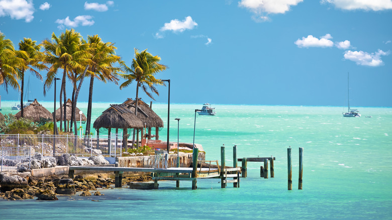 Beachfront huts with palm trees and boats in the distance
