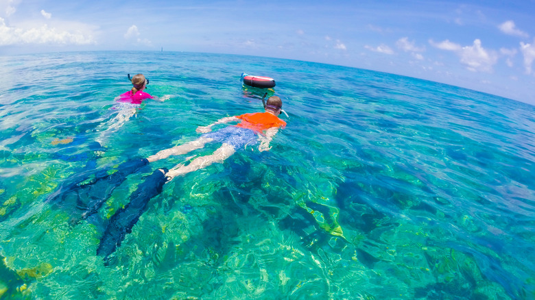 Two snorkelers with snorkeling gear floating in turquoise water