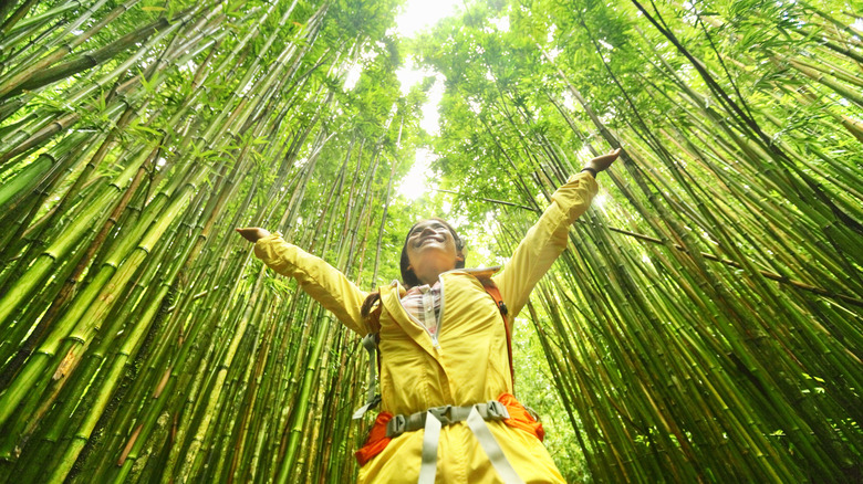 A woman extends her arms in front of a bamboo forest in Hawaii