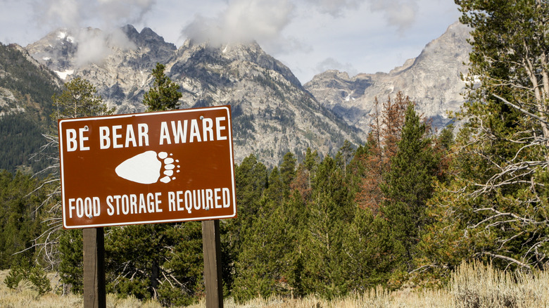 bear safety sign at Yellowstone National Park with mountain scene