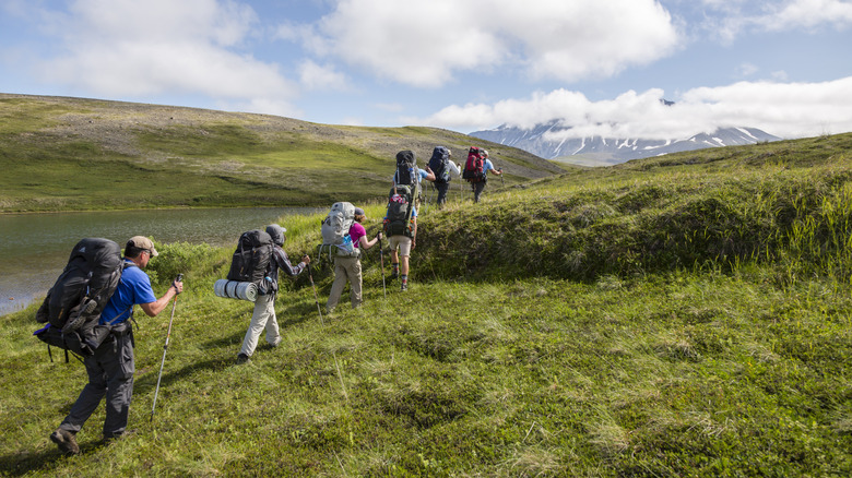 A line of seven backpackers hiking over grassy mountains in Lake Clark National Park.