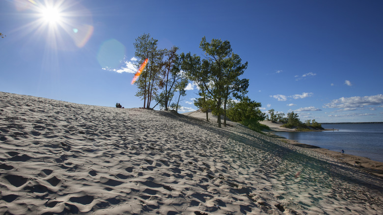 Sandbanks Dunes Beach in Sandbanks Provincial Park on Lake Ontario
