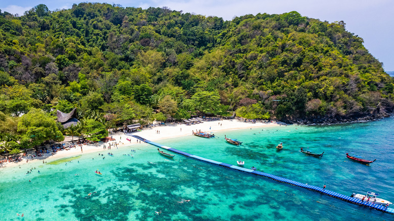 A tropical beach from above surrounded by greenery