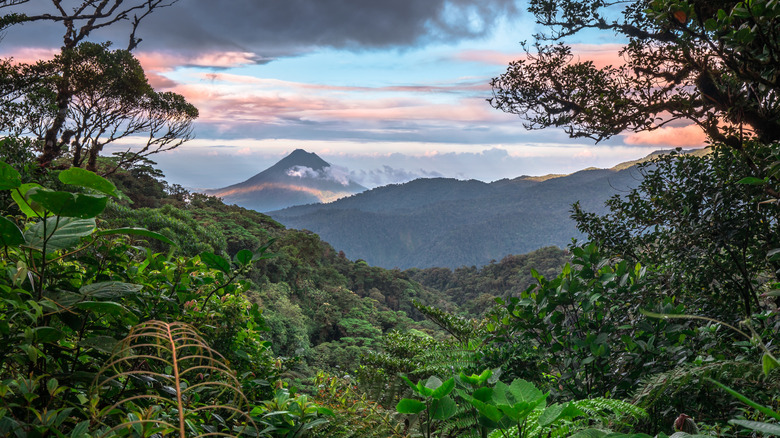 Arenal Volcano rises above the rainforest near Monteverde, Costa Rica