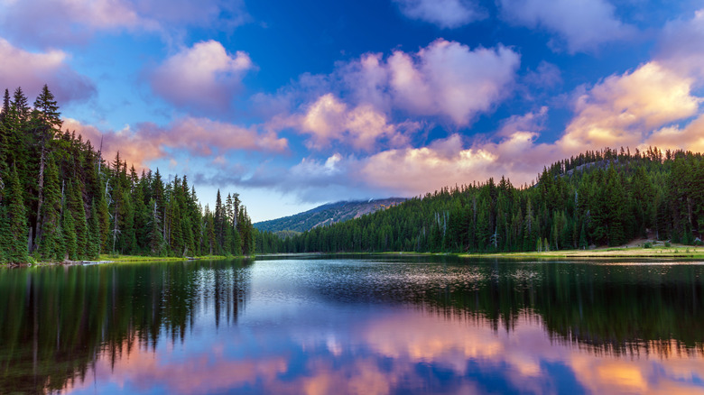 The view from Todd Lake, Oregon