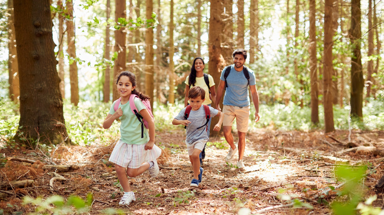 A family of four hiking through woodland