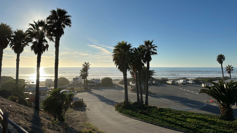 Palm trees stand tall against Jalama beachfront campsite at sunset.