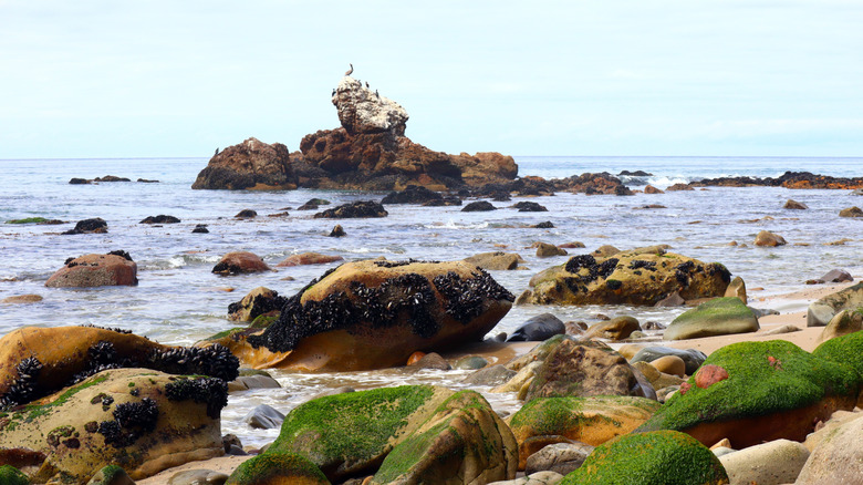 The waves roll in at a rocky beach in Malibu