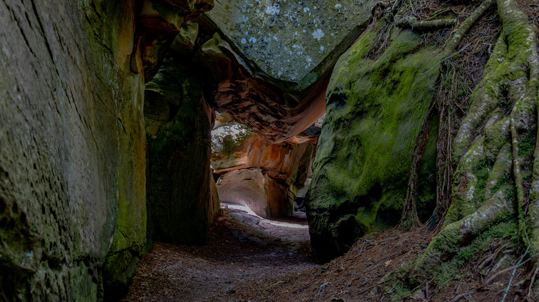 A cavern with moss-covered boulders in The Channels in Virginia