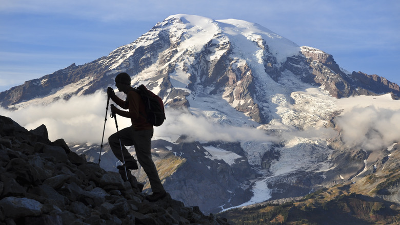 Trekker climbing