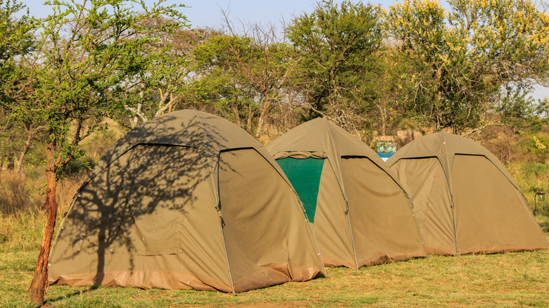 Campsite in Serengeti