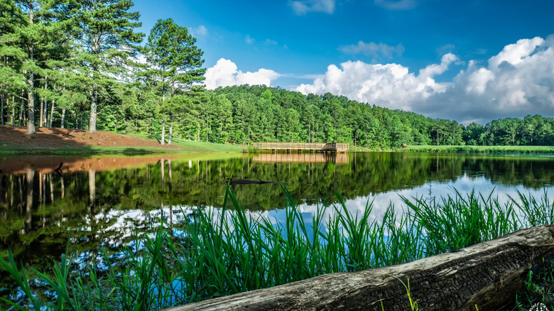 A lush view of the lake at Fort McClellan surrounded by forests