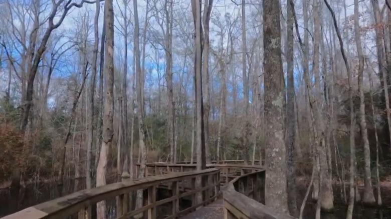 A boardwalk trail through Alabama Nature Center