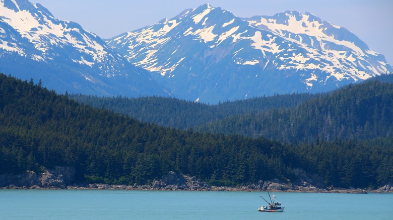 beautiful mountains view of Kodiak Island, Alaska