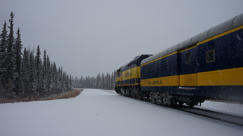 An Alaskan train in snowy landscape