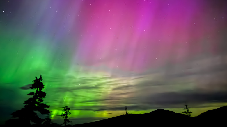 Pink and green Northern Lights in the sky