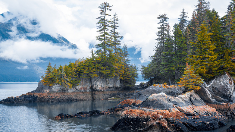 Rocks and island in Resurrection Bay, Alaska