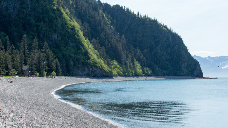 Stony beach backed by forested mountains on Fox Island