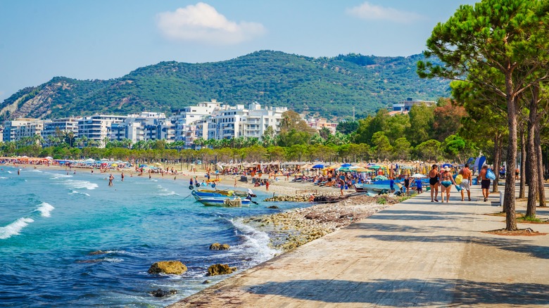 tree-lined promenade along busy beach