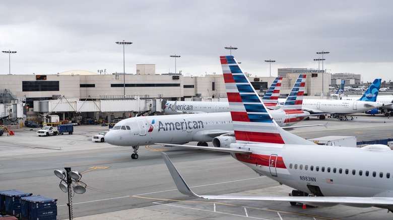 American Airlines planes on the tarmac at Miami Airport.