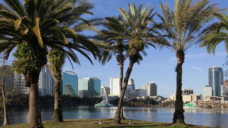 Orlando Lake Eola and palm trees amid skyscrapers.