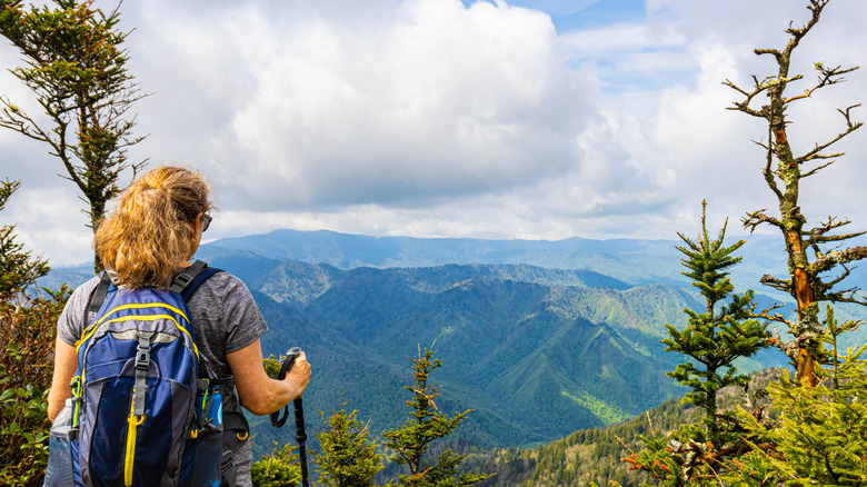 hiker in Great Smoky Mountains National Park