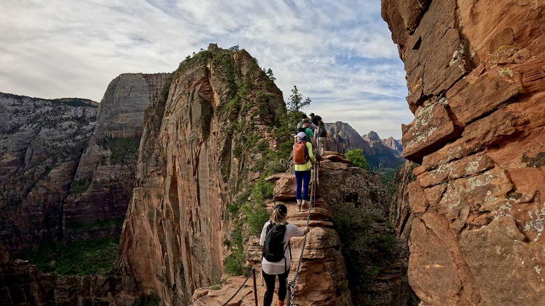 hikers at Angels Landing