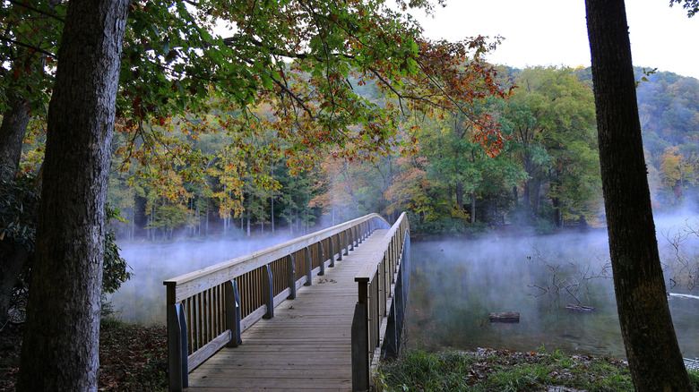 A misty footbridge in Hungry Mother State Park