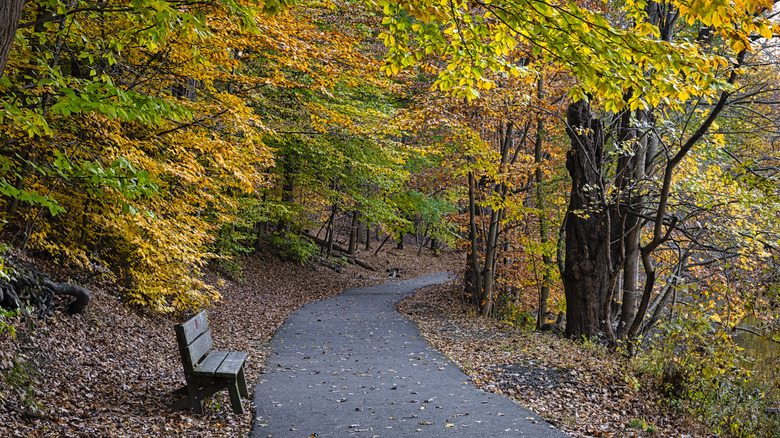 Colorful foliage along Patriots Path at Morristown National Historical Park