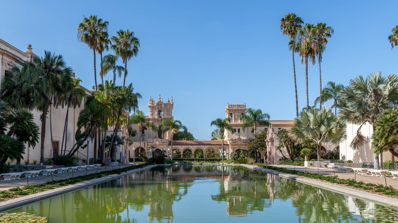 Greenish pool with palm trees around it and an older building behind it
