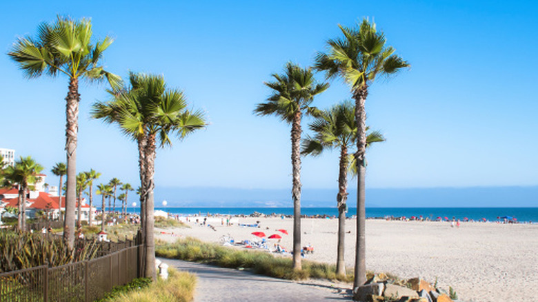 White sandy beach with palm trees and people on the sand