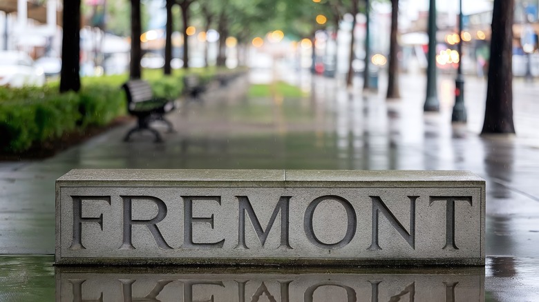 A Fremont sign on a raiany sidewalk