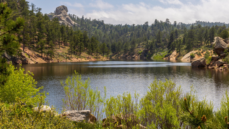 a lake surrounded by forest in Curt Gowdy State Park Wyoming