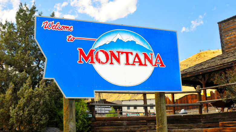 A tree and an old Western style building behind a welcome to Montana sign