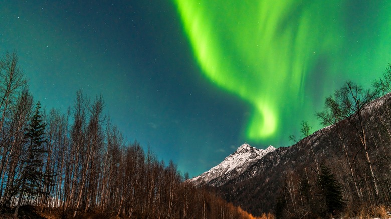 Aurora borealis Fairbanks Alaska