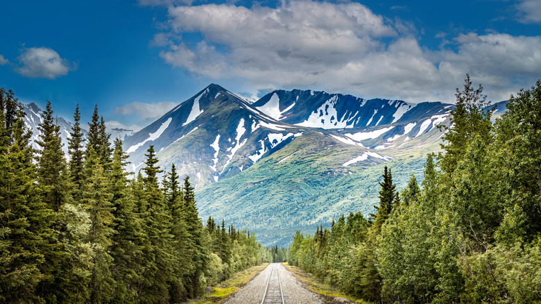 railroad to national park, alaska with mountains views