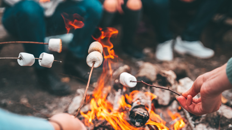 Happy campers roasting s'mores around a campfire.