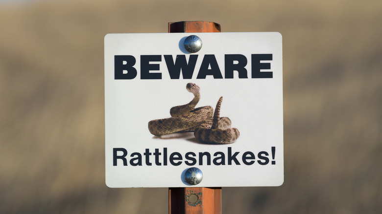 a national park sign saying Beware Rattlesnakes