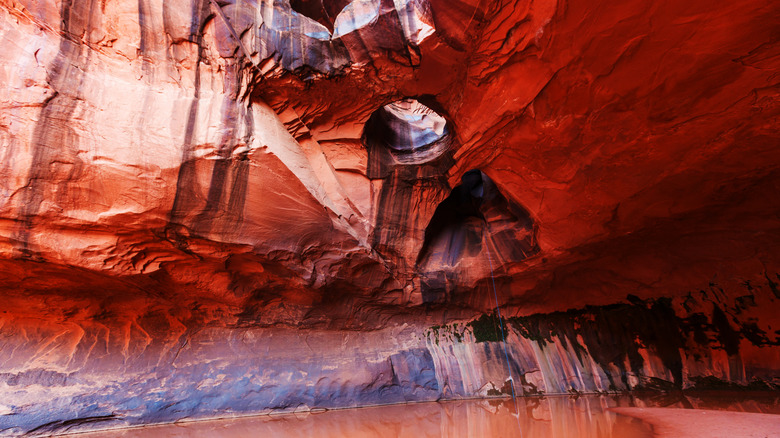 Red rock dome with holes and pool of water