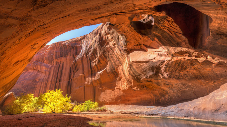 Red rock ceiling overhanging pool