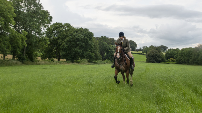 Female rider in an Irish field