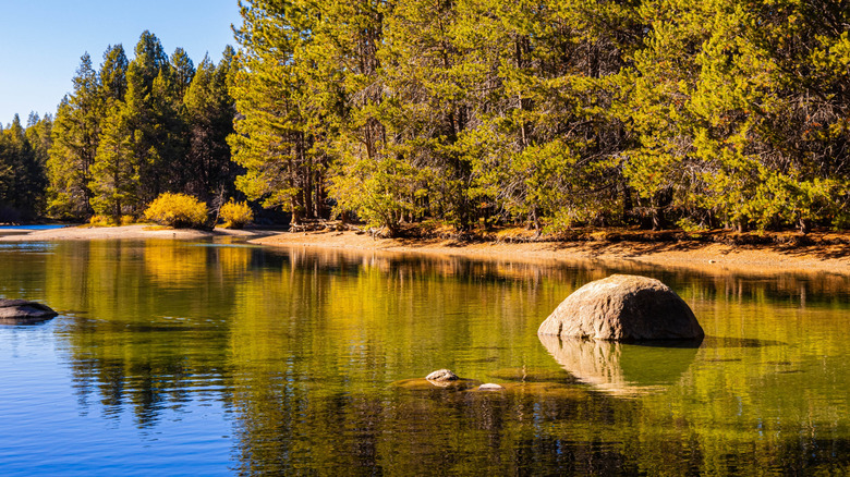 Beautiful coastal area of Donner Lake with forest view, California