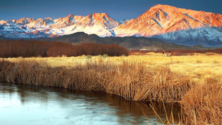 Bishop Creek Canyon
