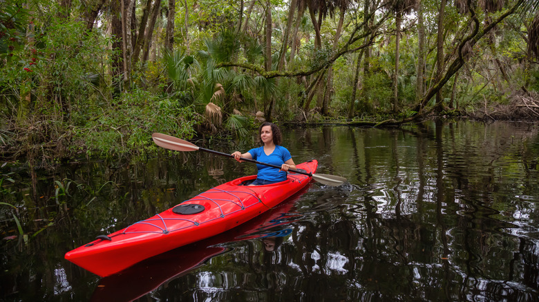 Adventurous kayaker on a river covered with trees
