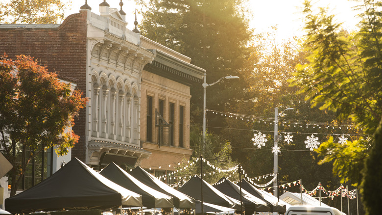 Downtown SLO farmers market
